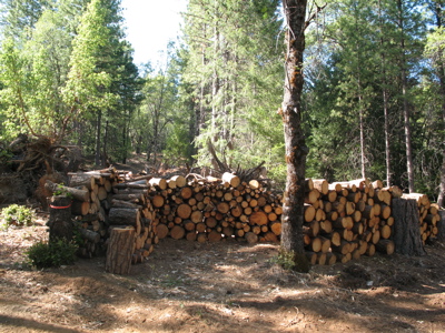 The softwood pile