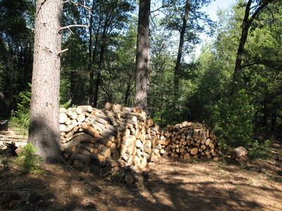  The hardwood pile